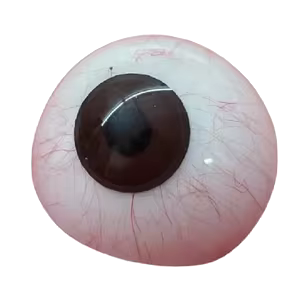 His